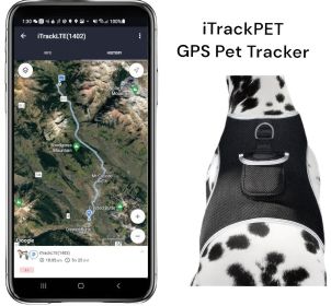 Realtime Cat GPS Locator Waterproof GSM Efficient Pet Tracking Device Size:M