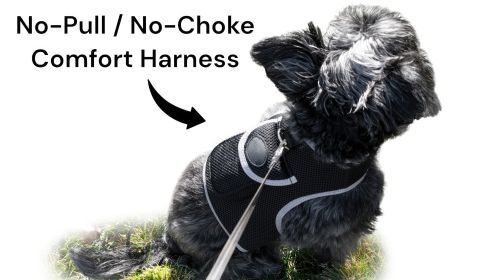 Quality Realtime GPS GSM Pet Tracking Mini Portable Waterproof Tracker Size:XS