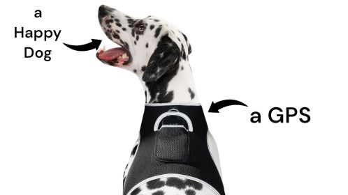 Portable Waterproof Mini GPS Dog Tracking Unit Collar Mount + SIM Slot Size:XS