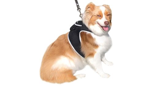 Waterproof GPS Tag Pet Tracker Realtime Security Surveillance System Size:XXL