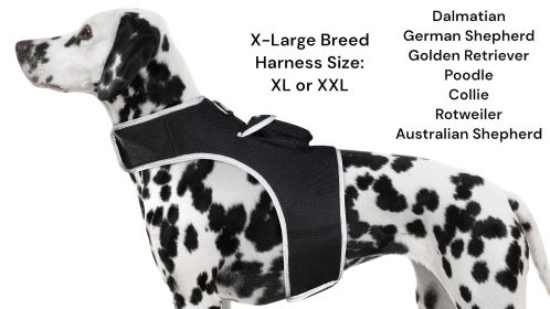 High Quality Portable Animal GPS Tracker Waterproof Collar Pet Locator Size:XXL