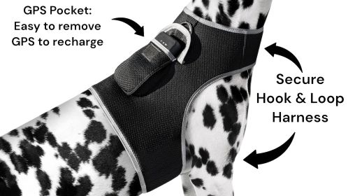 Inexpensive Waterproof Realtime Portable GPS Pet Tracker w/ Geo-Fence Size:XXL