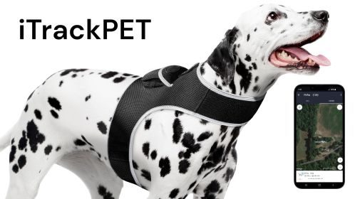 iPhone/Android Compatible Mini Waterproof GSM GPRS Pet Tracking Device Size:XXL