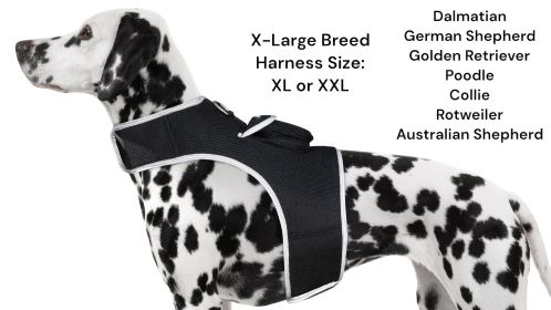 Movement Triggered GPS Tracking Pets Collar Tracker Rechargeable Tool Size:L