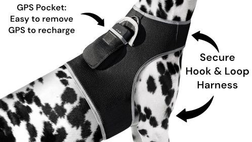 Detailed GPS Pet Location Tracker Rechargeable Water Resilient Tracking Device Size:M