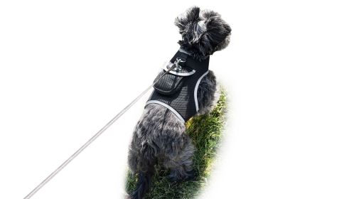 Dependable Waterproof GPS Pet Chip Tracker Realtime Pocket Pet Locator Size:M