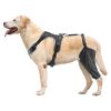 Dog Knee Brace for Left Leg Adjustable ACL Dog Leg Support Brace Pain Relief