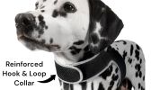 Pet Security Mini GSM GPRS Realtime Collar Pet GPS Tracker Waterproof Size:M