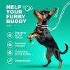 Probiotics for Dogs Support Gut Health Immunity Yeast Balance Itchy Skin Allergies Dog Probiotics and Digestive Enzymes Coprophagia Deterrent for Dogs