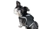 Pet Security Mini GSM GPRS Realtime Collar Pet GPS Tracker Waterproof Size:M