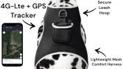 Pet Security Mini GSM GPRS Realtime Collar Pet GPS Tracker Waterproof Size:M
